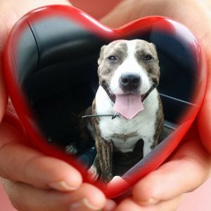 Meet your Posher, Arminta